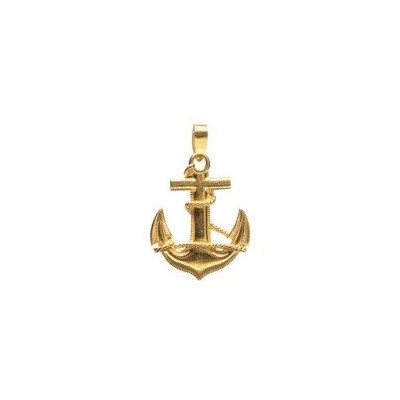 Gouden Surinaamse anker hanger | Surinaams goud | 18 karaat Surinaams goud